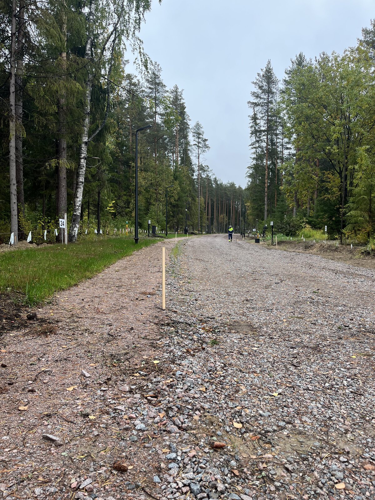 Комплексное благоустройство в Рощино